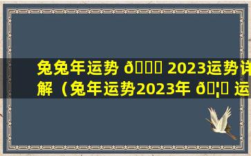 兔兔年运势 🕊 2023运势详解（兔年运势2023年 🦈 运势12生肖运势）